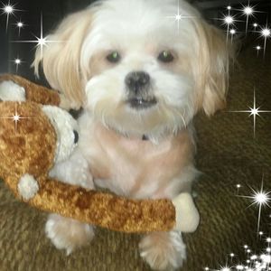 Meet your Posher, Maryanne